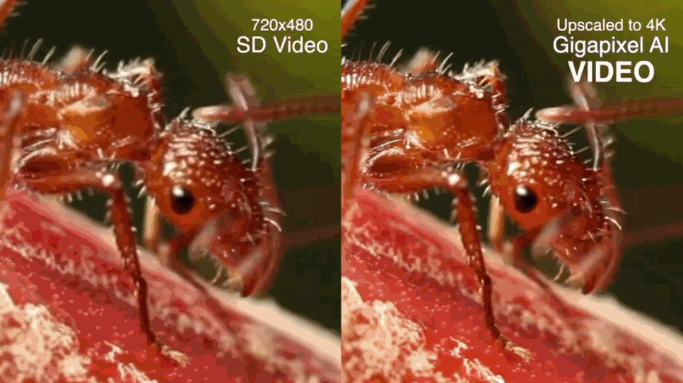 AI视频无损放大软件 Topaz Video Enhance AI v2.2.0 破解版+使用教学