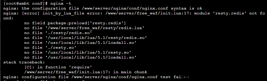 nginx -t 语法检查通过单测试配置文件失败